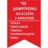 5S Şampiyonu Geleceğin 5 Anahtarı Levhası 25x35 cm