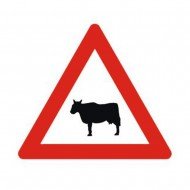 Ehli Hayvanlar Geçebilir