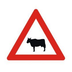 Ehli Hayvanlar Geçebilir